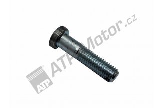Z258031.06: Tightening screw collar M12