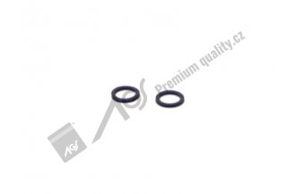 931109: Dichtungsring AGS