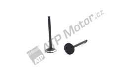 Inlet valve 4TNE94/98-WI