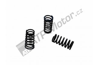 19006517: Valve spring