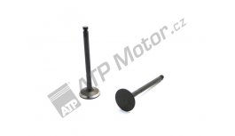 Exhaust valve 4TNE94/98-WI