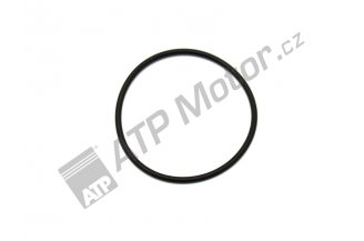 O42X2: O-ring 97-4313