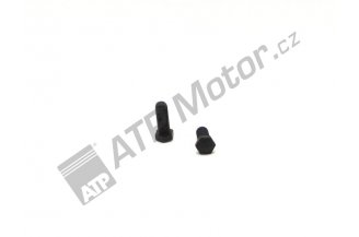 80021046: Adjusting screw M10x1,25