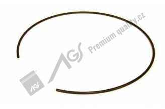 930214 AGS: Circlip CA AGS