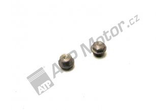 55010122: Zátka olejového kanálu