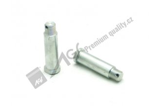 67454304: Svorník AGS