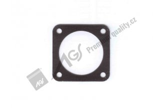 Thermostat gasket 7201-1303 AGS