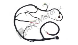 Main cable Schlemmer FRT