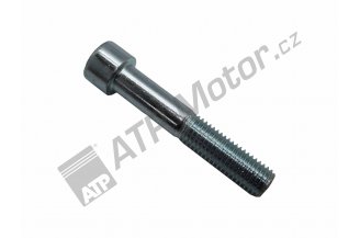 Z257076.50: Hydraulic cover bolt