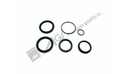 Cylinder seal kit 7011-8033 AGS