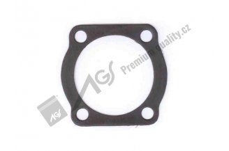 55453009: Gasket AGS