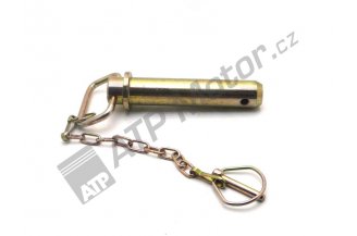 54453949: Scharnierstift für Schwenkstange CBM