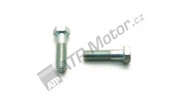 Šroub M16x60 8G