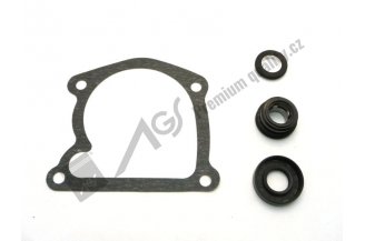 62110094AGS: Water pump seal kit 4320-0094, 5211-0094 AGS