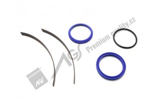 938028: Hydraulic cylinder seal kit 10-409-907 AGS