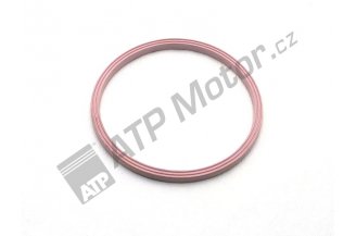 LTE319092950: Ringdichtung zwischen Liaz-Köpfen