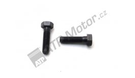 Šroub M12x1,75x45 CA