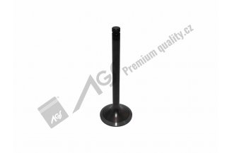 64000423 AGS: Ventil sací azotovaný IN 30° 89-005-915 AGS