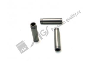 89005508 AGS: Valve guide IN AGS *