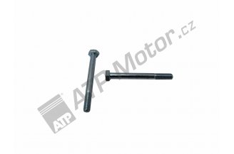 998691: Schraube M10x100