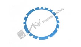Gasket 78-161-012 AGS