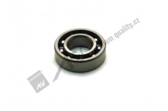 L6004: Bearing 6004 AGS