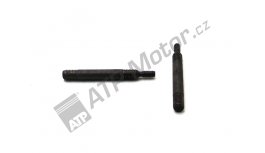 Bolzen des Gerüstes