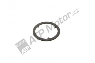 30111909: Stützring