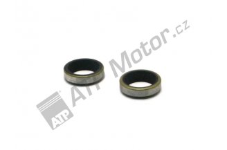 53256902: Abstreifring