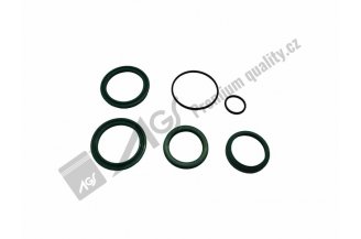 938025AGS: Cylinder seal kit 7011-8033 AGS