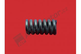 Z251067.09: Injection pump spring