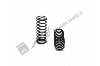 950507 AGS: Innere Ventilfeder 50/50-507/0 AGS