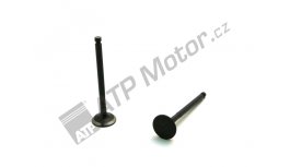 Exhaust valve 4TNV94/98-WI