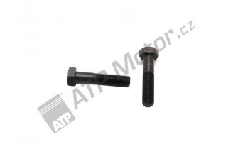 17003015: Bolt M12x1,25x55 SA