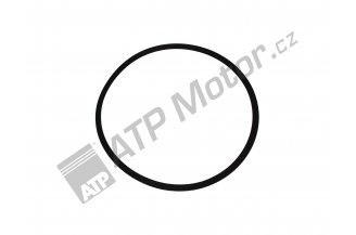 952805333000: Těsnění horního víka