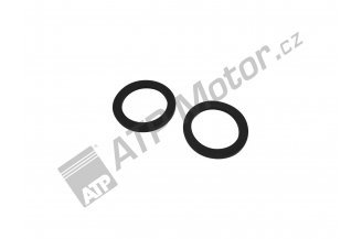 Z5098.0508: Gasket