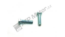 Šroub M10x40  1103.8G