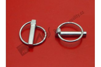 451164108,5: Kolík s kroužkem d=8,50 mm AGS