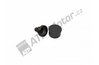 972803: Maznice Staufferova