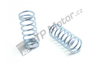 14211391: Schnellspannstiftfeder