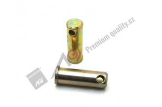 83453044: Čep na teleskopická táhla AGS