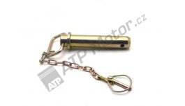 Scharnierstift für Schwenkstange CBM