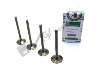 640004234VSD: Inlet valve set IN 30° 4V AGS