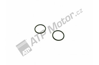 930881: Ring 21,95x1,75 FRT-P