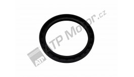 Gufero G100x125x12GP