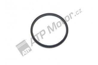 64011937: Těsnění pístní