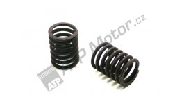 Regulierungsfeder extern