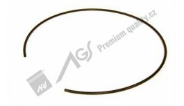 Circlip CA AGS