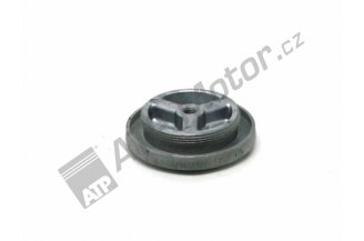 958018: Filtermutter