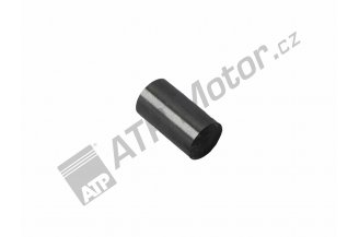 Z25234.04: Kolík zajišťovací řemenice motor